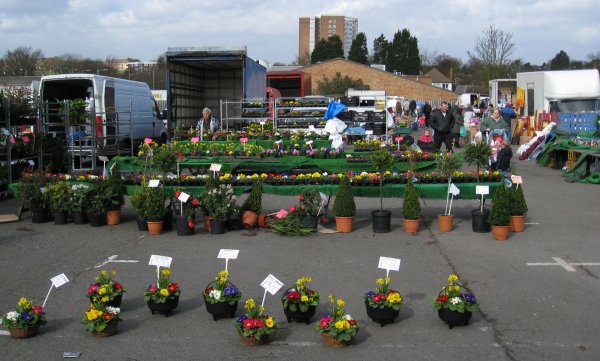 Roots Hall Market Photo 5