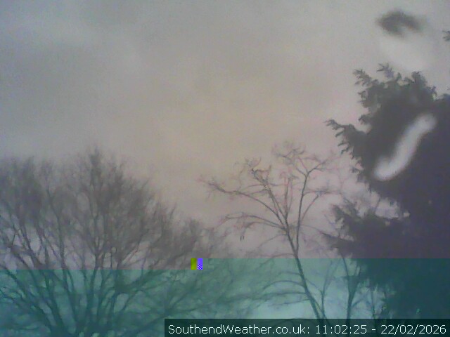 Live Southend Webcam