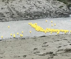 Leigh-on-Sea Duck Race 2017 – Results & Video