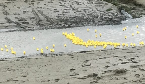 Leigh-on-Sea Ducks in action