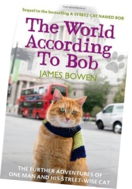 The World According to Bob